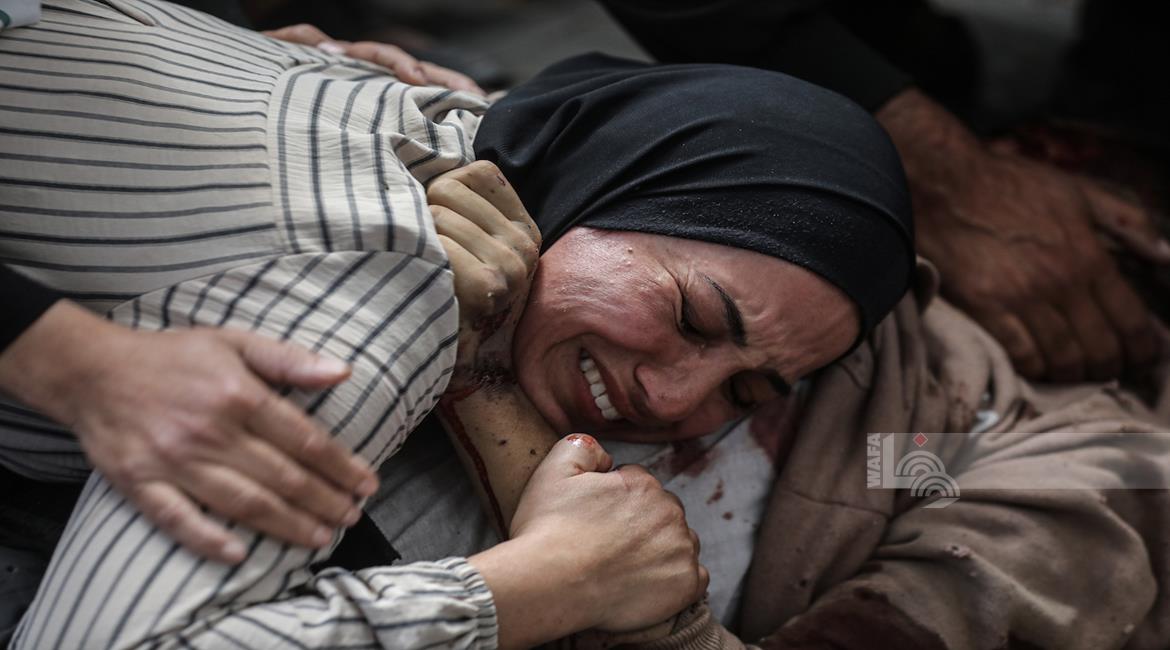 صورة أرشيفية